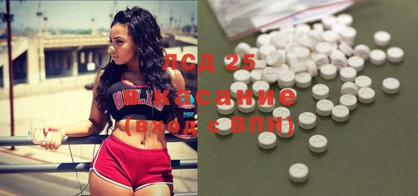 индика Абаза