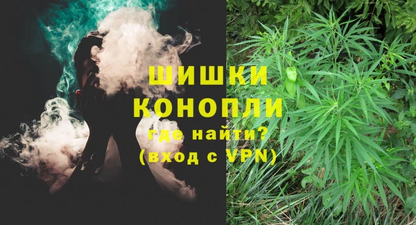 крисы Абдулино