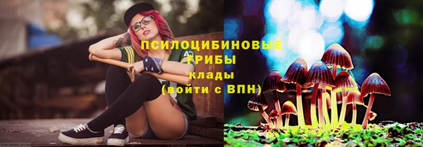 индика Абаза