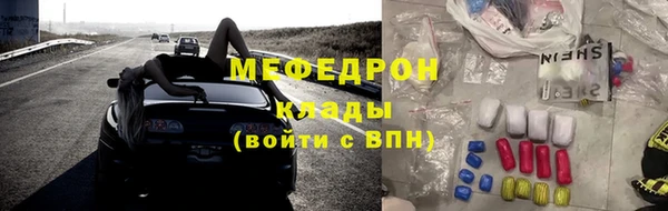 индика Абаза