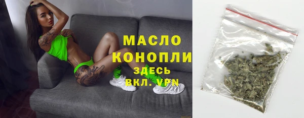 индика Абаза