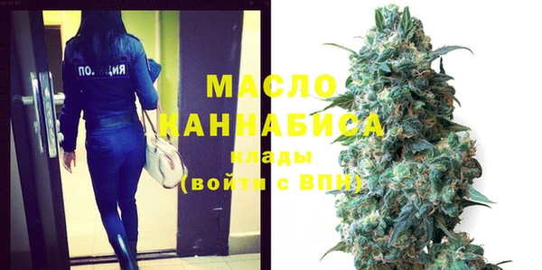 индика Абаза